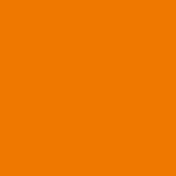 0132 BS Оранжевый